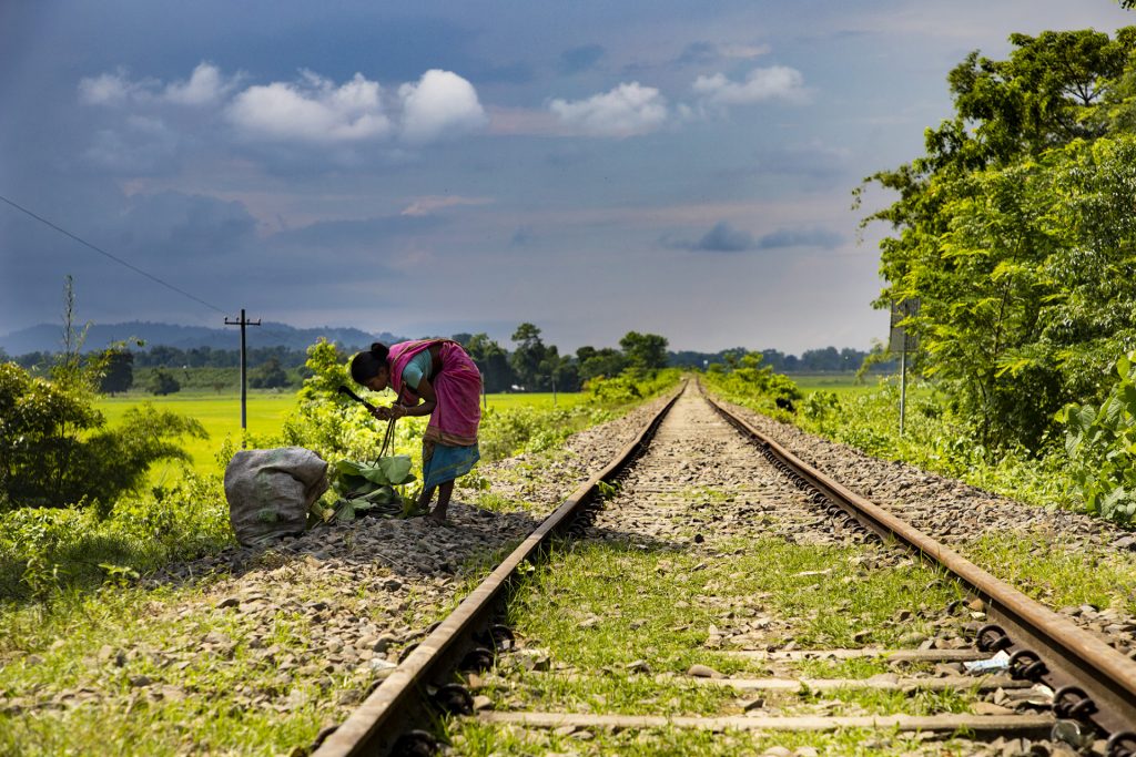 Young lady collecting banana leafs for survival near abandoned rail tracks, somewhere near Numaligarh oil refinary, Assam, India