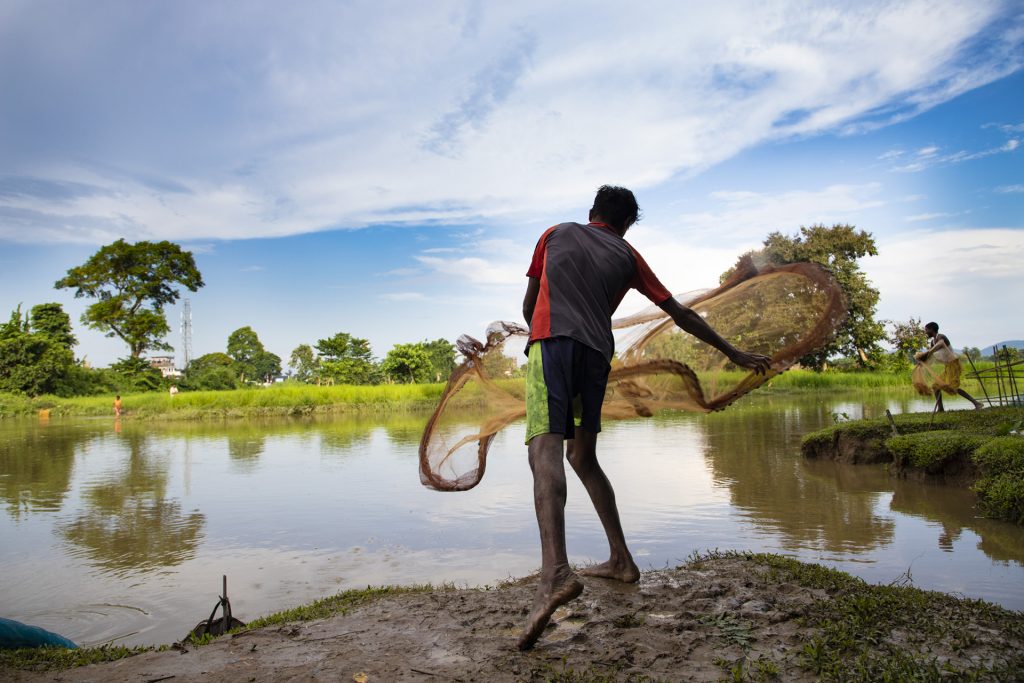 Fisherman somewhere near Numaligarh, Assam, India